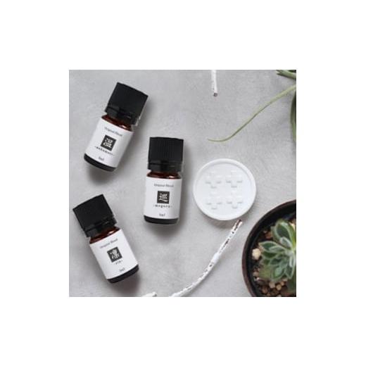 ふるさと納税 アロマ・入浴剤 アロマ用品 愛知県 尾張旭市 ease12ヶ月のブレンドオイル(5ml...