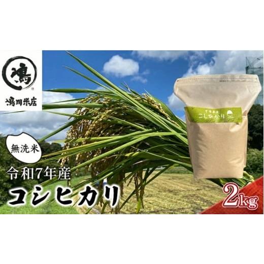 ふるさと納税 米 コシヒカリ 千葉県 千葉市 コシヒカリ　無洗米　2kg　令和7年産 お米 精米 ご...