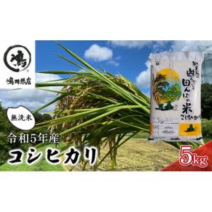 ふるさと納税 千葉県 千葉市 コシヒカリ 乾式無洗米 5ｋｇ 令和5年産[No.5346-0383]｜ふるさとチョイス