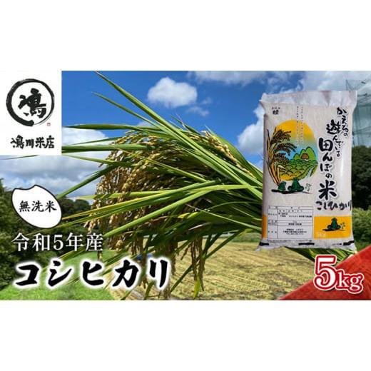 ふるさと納税 千葉県 千葉市 コシヒカリ 乾式無洗米 5ｋｇ 令和5年産[No.5346-0383]