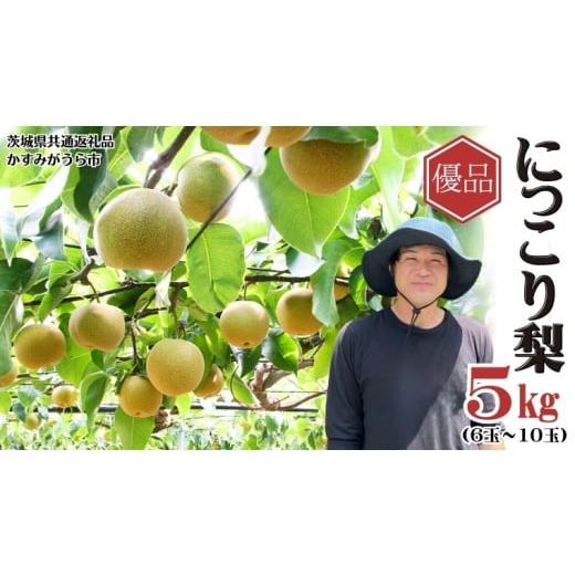 ふるさと納税 梨 茨城県 桜川市 《優品》にっこり梨 5kg 6玉〜10玉（茨城県共通返礼品／かすみ...