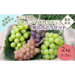 ふるさと納税 ぶどう マスカット 愛媛県 西条市 ぶどう詰め合わせ 先行予約 輝らり果樹園の完熟シャインマスカットと旬のぶどう 食べ比べセット 2kg（3〜5房）…