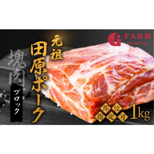 ふるさと納税 愛知県 田原市 《肩ロース》国産 豚肉 ブロック 1kg 田原ポーク 肩ロース