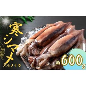 ふるさと納税 島根県 海士町 寒シマメ スルメイカ