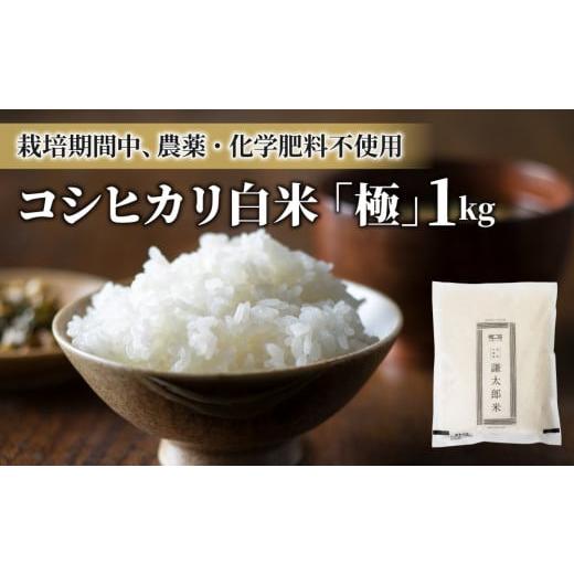 ふるさと納税 長野県 東御市 【太陽と大地】八重原産コシヒカリ白米「極」（栽培期間中農薬化学肥料不使...