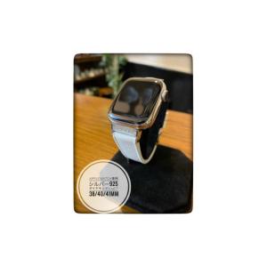 ふるさと納税 福岡県 行橋市 CN-009_Apple Watch専用シルバー925製チャーム_sevenstone(Diamond)&ラバーバンド