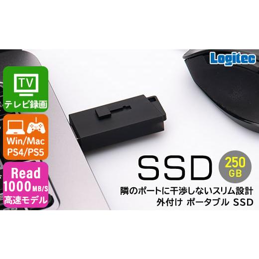 ふるさと納税 長野県 伊那市 【020-28】ロジテック スティック型　高速SSD　250GB【LM...