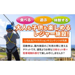 ふるさと納税 体験チケット 神奈川県 横須賀市...の詳細画像2