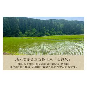 ふるさと納税 米 コシヒカリ 新潟県 加茂市 ...の詳細画像3