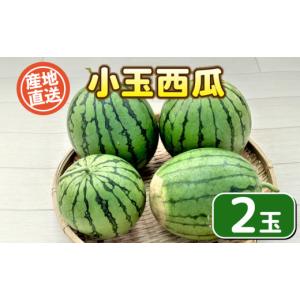 ふるさと納税 スイカ 山口県 下関市 期間限定...の詳細画像1