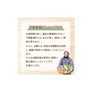 ふるさと納税 スイカ 山口県 下関市 期間限定...の詳細画像2