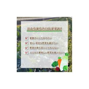 ふるさと納税 スイカ 山口県 下関市 期間限定...の詳細画像3