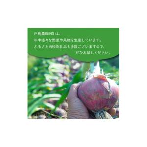 ふるさと納税 スイカ 山口県 下関市 期間限定...の詳細画像4