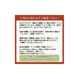 ふるさと納税 スイカ 山口県 下関市 期間限定...の詳細画像5