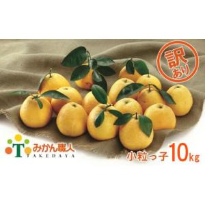 ふるさと納税 みかん・柑橘類 愛媛県 愛南町  訳あり みかん職人の河内晩柑 小粒っ子 10kg 先行予約 柑橘 かんきつ フルーツ 果物 河内晩柑 和製 グレープフル…