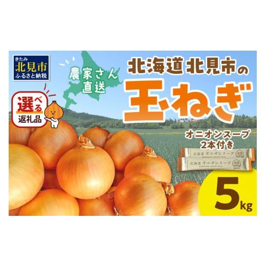 ふるさと納税 北海道 北見市 【2024年10月中お届け】日本一の生産地！北海道北見市の玉ねぎ 5k...