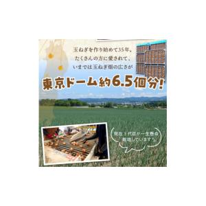 ふるさと納税 野菜類 玉ねぎ 北海道 北見市 ...の詳細画像4