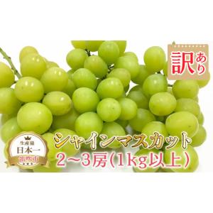 ふるさと納税 山梨県 笛吹市 ＜2024年先行予約＞笛吹市産シャインマスカット（訳あり）2〜3房1kg以上 210-004