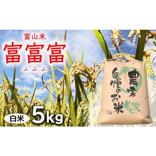ふるさと納税 米 富山県 魚津市  令和7年度米 先行予約 農家直送「 富富富 」5kg（白米）｜富...