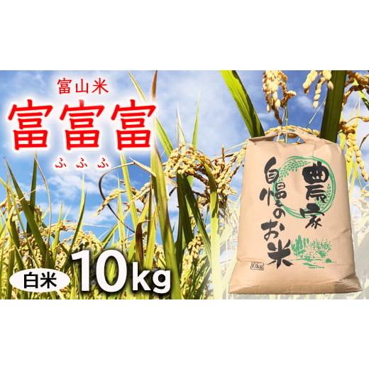 ふるさと納税 米 富山県 魚津市  令和7年度米 先行予約 農家直送「 富富富 」10kg（白米）｜...