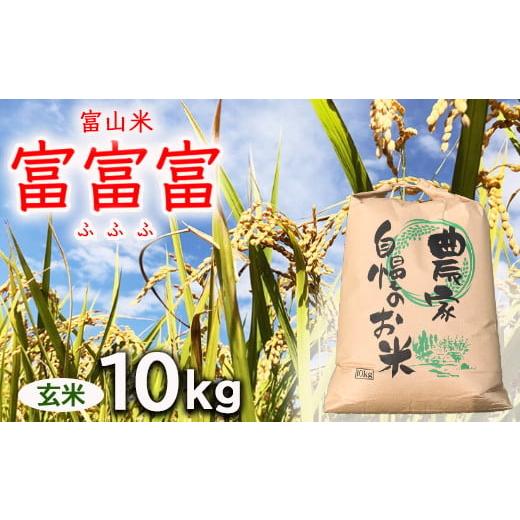 ふるさと納税 米 富山県 魚津市  令和7年度米 先行予約 農家直送「 富富富 」10kg（玄米）｜...