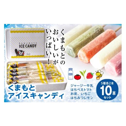 ふるさと納税 熊本県 八代市 くまもと アイスキャンディ 10本セット