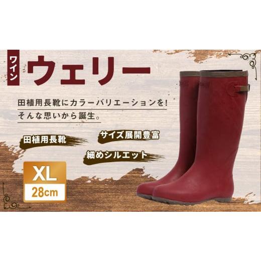 ふるさと納税 北海道 小樽市 ウェリー #5 (ワイン) XLサイズ（28cm） XLサイズ（28c...