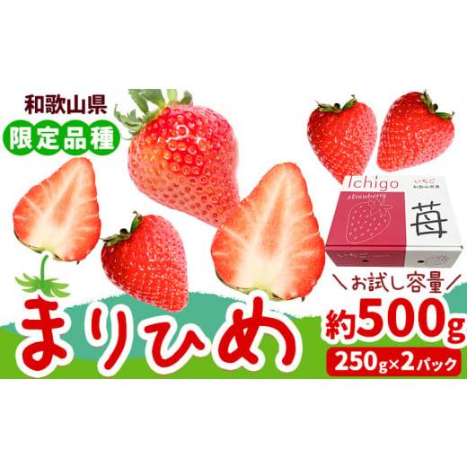 ふるさと納税 和歌山県 紀の川市 いちご まりひめ 約500g ( 250g × 2パック ) お試...