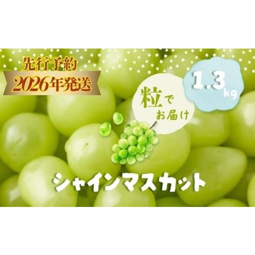 ふるさと納税 ぶどう マスカット 山梨県 都留市  2026年先行予約 粒 シャインマスカット約1....