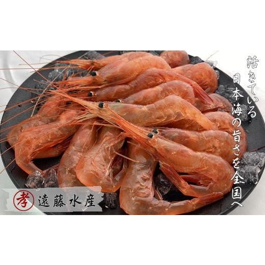 ふるさと納税 エビ あまエビ 北海道 増毛町 8-014-008　天然甘エビ 1kg（80尾前後）