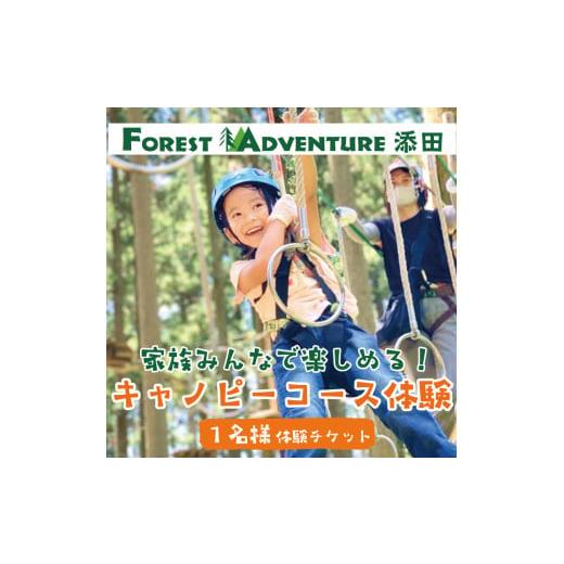 ふるさと納税 体験チケット 福岡県 添田町 家族みんなで楽しめる キャノピーコース 1名様体験チケッ...