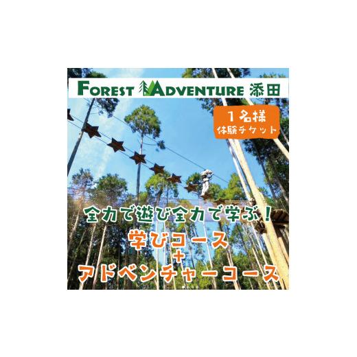 ふるさと納税 体験チケット 福岡県 添田町 全力で遊び全力で学ぶ ワンヘルス研修&amp;アドベンチャーコー...