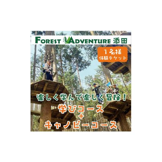 ふるさと納税 体験チケット 福岡県 添田町 全力で遊び全力で学ぶ ワンヘルス研修&amp;キャノピーコースセ...