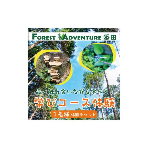 ふるさと納税 体験チケット 福岡県 添田町 森と触れ合いながら学べる ワンヘルスコース 1名様体験チ...