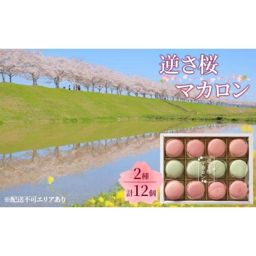 ふるさと納税 兵庫県 小野市 逆さ桜 マカロン 2種 食べ比べ 計12個[ スイーツ 洋菓子 焼菓子...