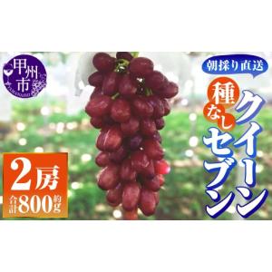 ふるさと納税 果物類 ぶどう 山梨県 甲州市 ...の詳細画像1