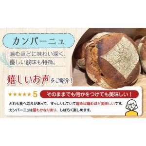 ふるさと納税 パン 食パン 広島県 江田島市 ...の詳細画像3