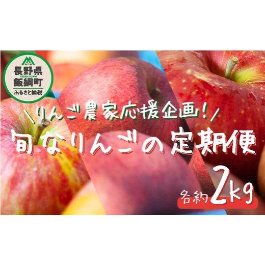 ふるさと納税 長野県 飯綱町 ＼農家応援企画／【令和6年度先行予約受付中】〈 定期便 〉 旬のりんご...