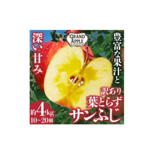 ふるさと納税 りんご 青森県 藤崎町 産地直送　葉とらずサンふじ　訳あり　約4kg 1428763