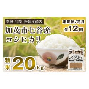 ふるさと納税 新潟県 加茂市 【定期便12ヶ月毎月お届け】新潟県加茂市七谷産コシヒカリ 精米20kg（5kg×4）白米 捧運次商店 定期便