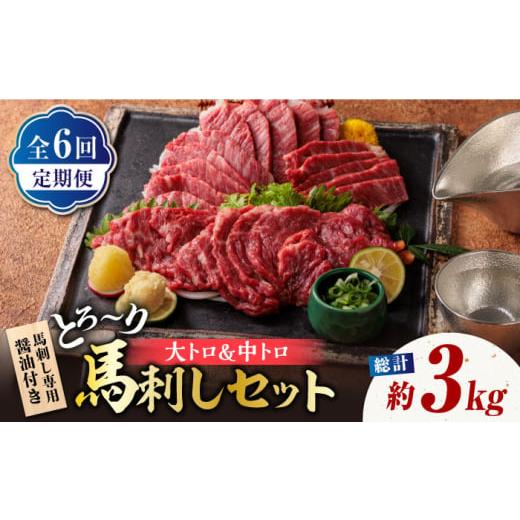 ふるさと納税 馬肉 熊本県 山鹿市 馬刺し 6回定期便 サシが決め手の「トロ〜り 馬刺し セット 」...