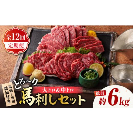 ふるさと納税 馬肉 熊本県 山鹿市 馬刺し 12回定期便 サシが決め手の「トロ〜り 馬刺し セット ...