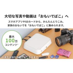 ふるさと納税 雑貨・日用品 愛知県 日進市 B...の詳細画像4