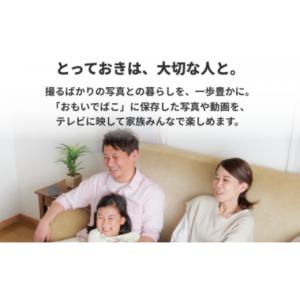 ふるさと納税 雑貨・日用品 愛知県 日進市 B...の詳細画像5