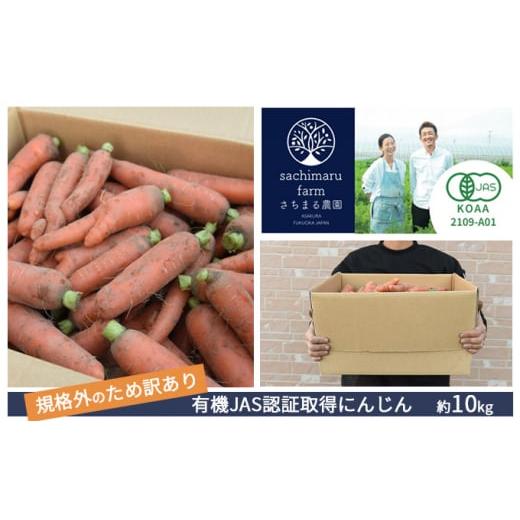 ふるさと納税 野菜類 人参 福岡県 朝倉市 訳あり 規格外 にんじん 約10kg 有機JAS認証取得...
