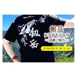 ふるさと納税 富山県 上市町 【試練と憧れ】 半袖剱岳ドライTシャツ ブラック LLサイズ ／ MO...