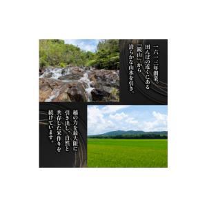 ふるさと納税 米 ミルキークイーン 滋賀県 竜...の詳細画像3