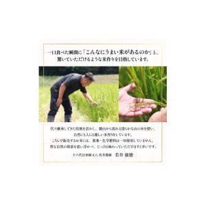 ふるさと納税 米 ミルキークイーン 滋賀県 竜...の詳細画像4
