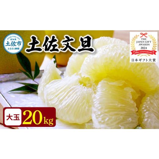 ふるさと納税 高知県 土佐市 園主こだわりの土佐文旦　20キロ（10キロ：18〜24玉×2箱）  2...