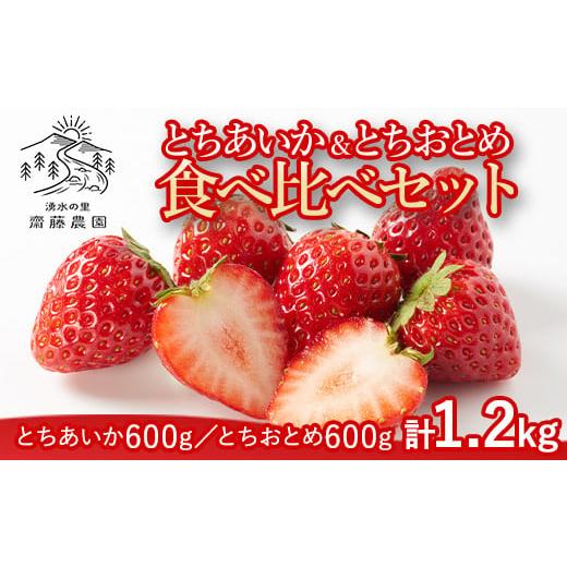 ふるさと納税 いちご 栃木県 塩谷町 とちあいか600g＆とちおとめ600g 食べ比べセット 計1....